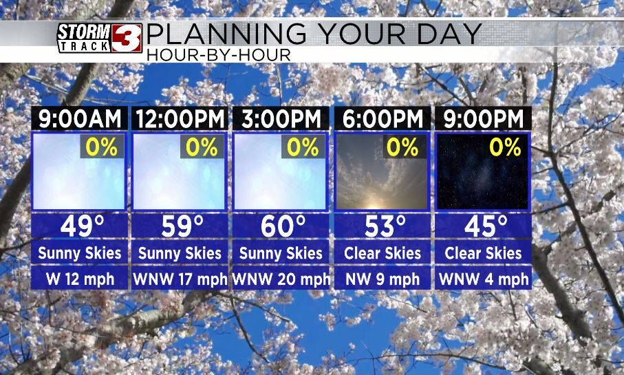 Hourly Forecast